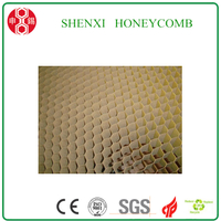 High Quality Paper Honeycomb Core for IKEA